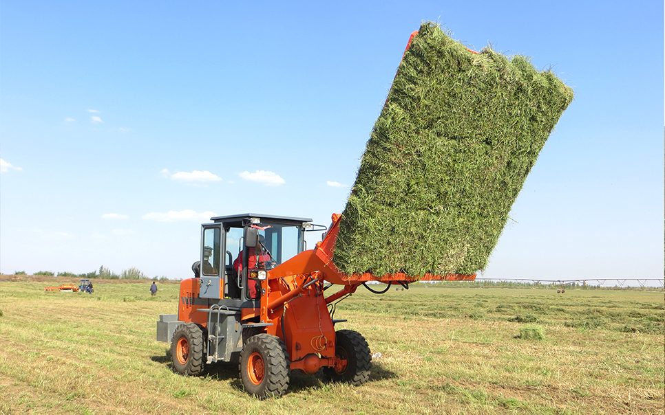 標題：9DCK-15方草捆集垛機
瀏覽次數(shù)：46
發(fā)表時間：2023-12-12