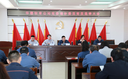 標(biāo)題：華德牧草公司召開黨員大會
瀏覽次數(shù)：1508
發(fā)表時間：2024-04-29