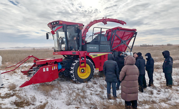 標(biāo)題：中央財(cái)政林草科技推廣項(xiàng)目設(shè)備交付 檸條收獲機(jī)落地賦能沙地生態(tài)治理
瀏覽次數(shù)：430
發(fā)表時(shí)間：2025-12-12